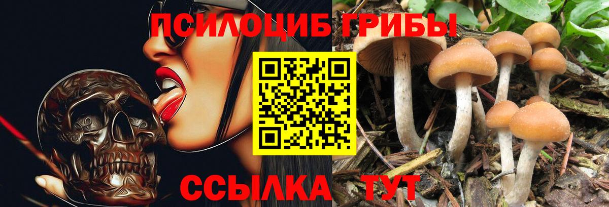 Галлюциногенные грибы ЛСД Тобольск