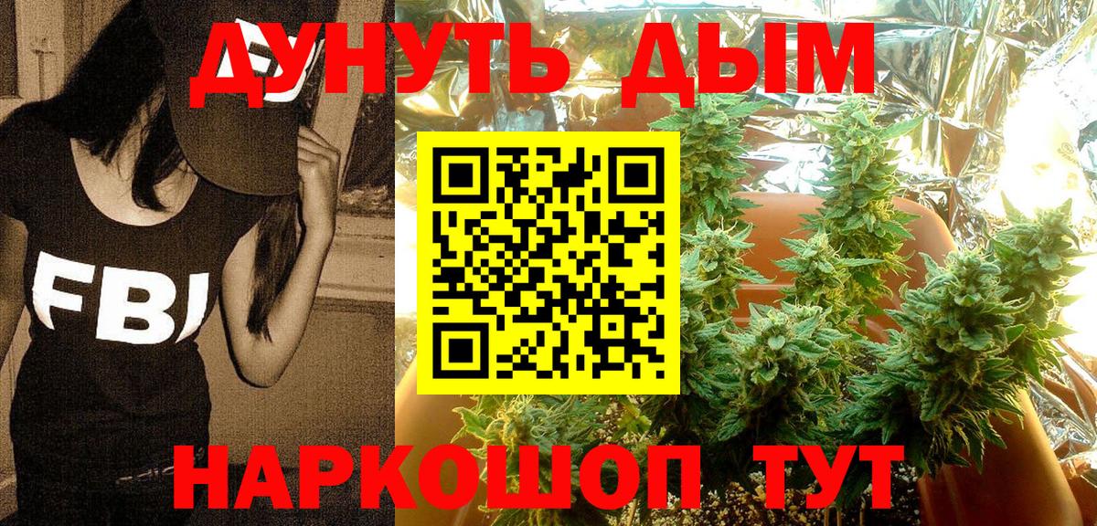 Конопля марихуана Тобольск